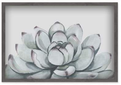 Marmont Hill Succulent 18-Inch x 12-Inch Shadow Box Wall Art