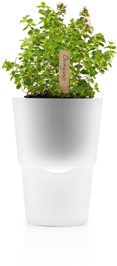 A/S Kräutertopf Ø 11 cm, Frostglas