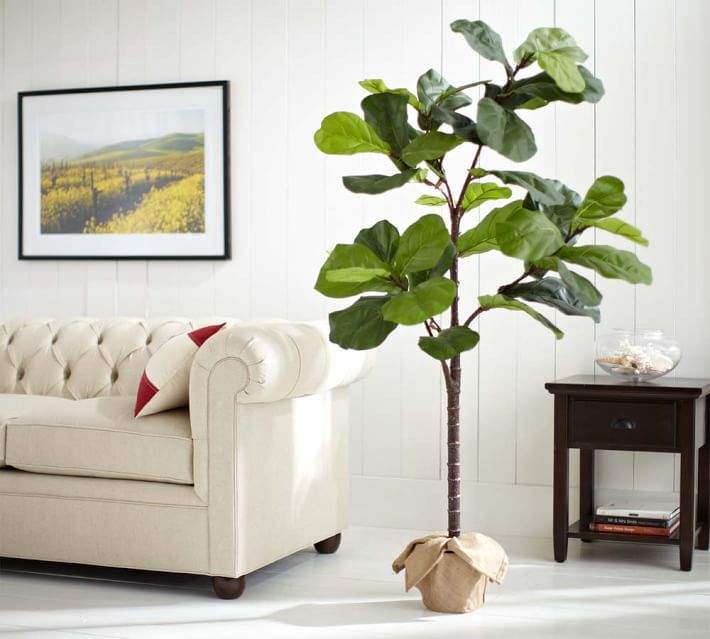 Faux Potted Fiddle Leaf Trees