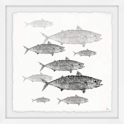 Wayfair 'Freshwater Fish' Framed Print