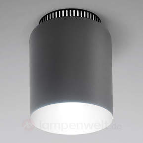 Designer-Deckenleuchte Aspen C17A LED grau