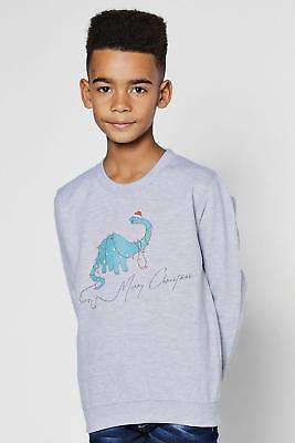 Mens Boys Dinosaur Christmas Sweatshirt