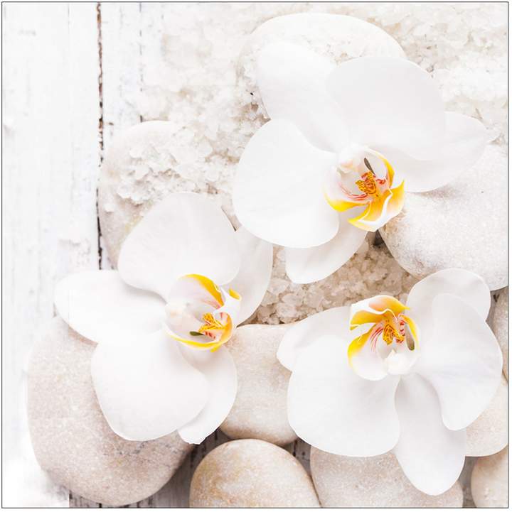 Pro Art Floatglasbild White & Yellow Flowers I