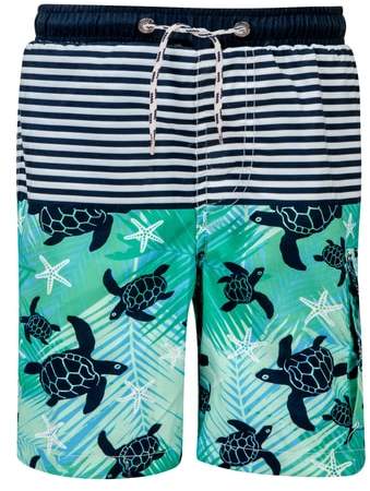 Turtle Board Shorts