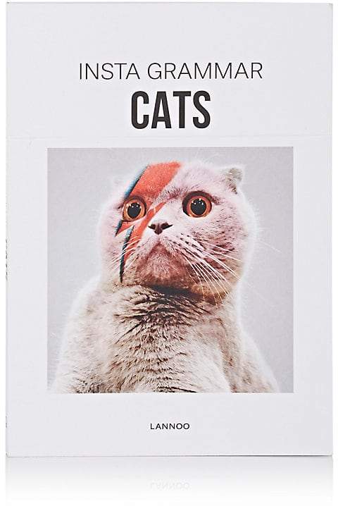 Insta Grammar: Cats