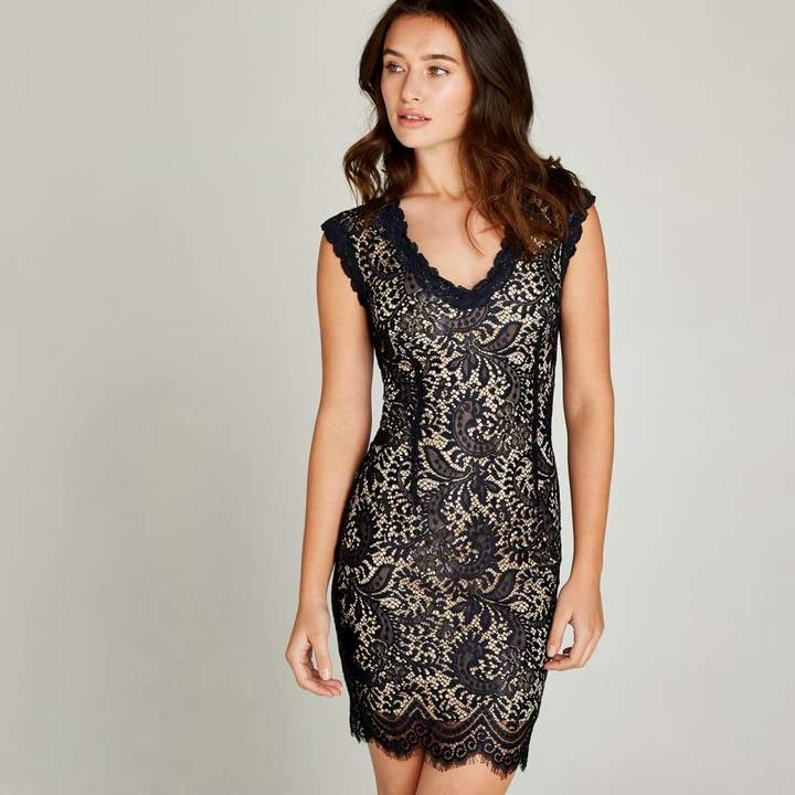 Navy Lace Scallop Bodycon Dress