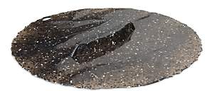 Charles Viancin Granite Lid - Large