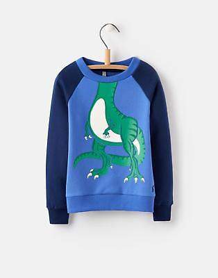 Rogan Character Sweatshirt 1 6yr in Dazzling Blue