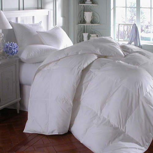 Alwyn Home Midweight Down Comforter