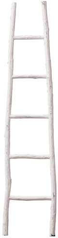 Decorative Ladder