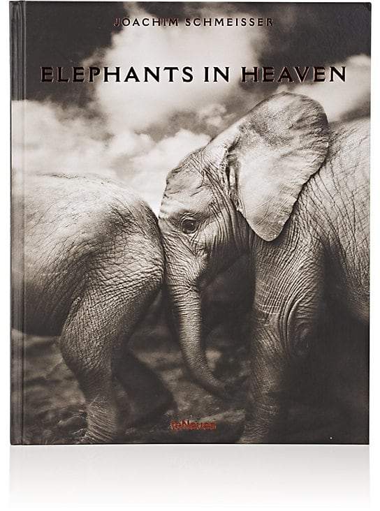 teNeues Elephants In Heaven