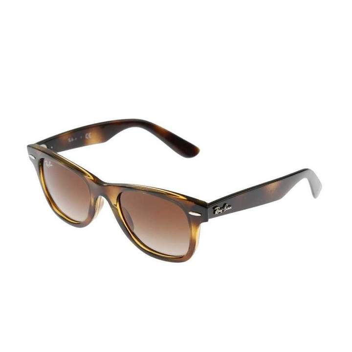 Ray-BanTortoise & Brown Classic Sunglasses