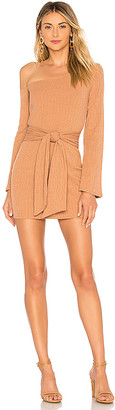 Privacy Please Chloe Mini Dress
