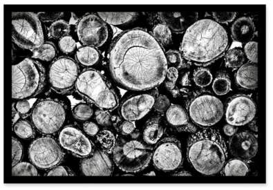 Marmont Hill Log Stack 45-Inch x 30-Inch Shadow Box Wall Art