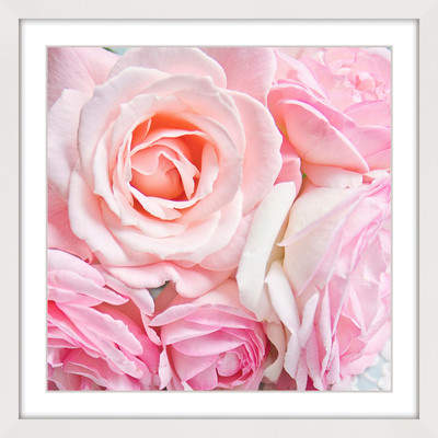 Wayfair 'Pink Roses' by Sylvia Cook Framed Painting Print