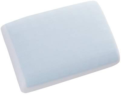 Wayfair Auer Reversible Gel & Memory Foam Pillow