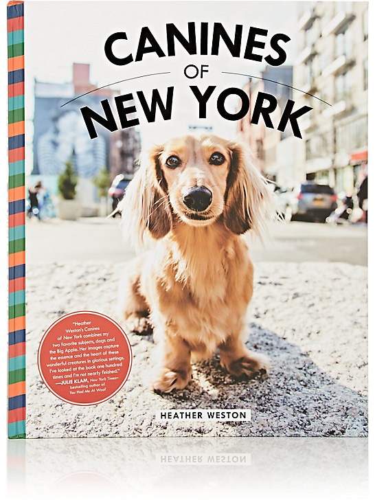 Canines Of New York