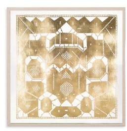 Natural Curiosities Gilded Lace Framed Print