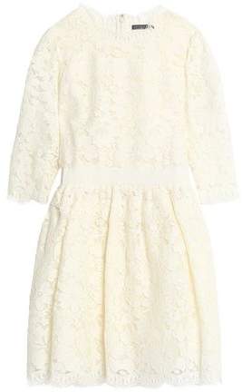 Pleated Corded Lace Cotton-Blend Mini Dress