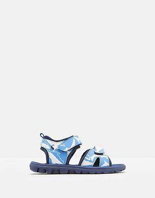 124794 Boys Rock Summer Sandals with Velcro Fastenings in Sharks