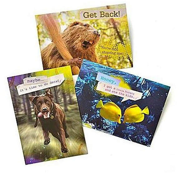 GARTNER STUDIOS Gartner Greetings Pet Humor Greeting Cards, 3 pack, Just For Fun
