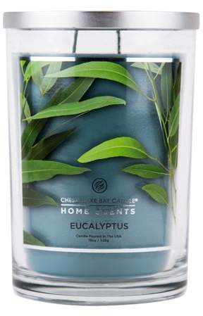 Home Scents Jar Candle Eucalyptus 19oz - Chesapeake Bay Candles® Home Scents