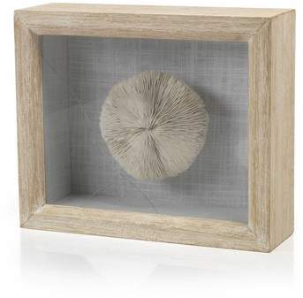 Zodax Mushroom Coral Shadow Box Art