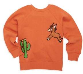 Baby's, Toddler's, Little Boy's & Boy's Donkey Cactus Cotton Sweater