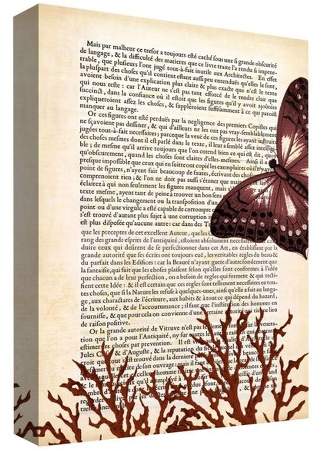 A Butterfly Story III Decorative Canvas Wall Art 11