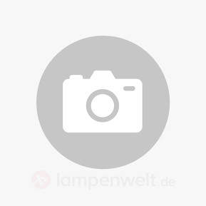 LED-Treiber 60 W für Hängeleuchte Nia 6-fl, 12-fl