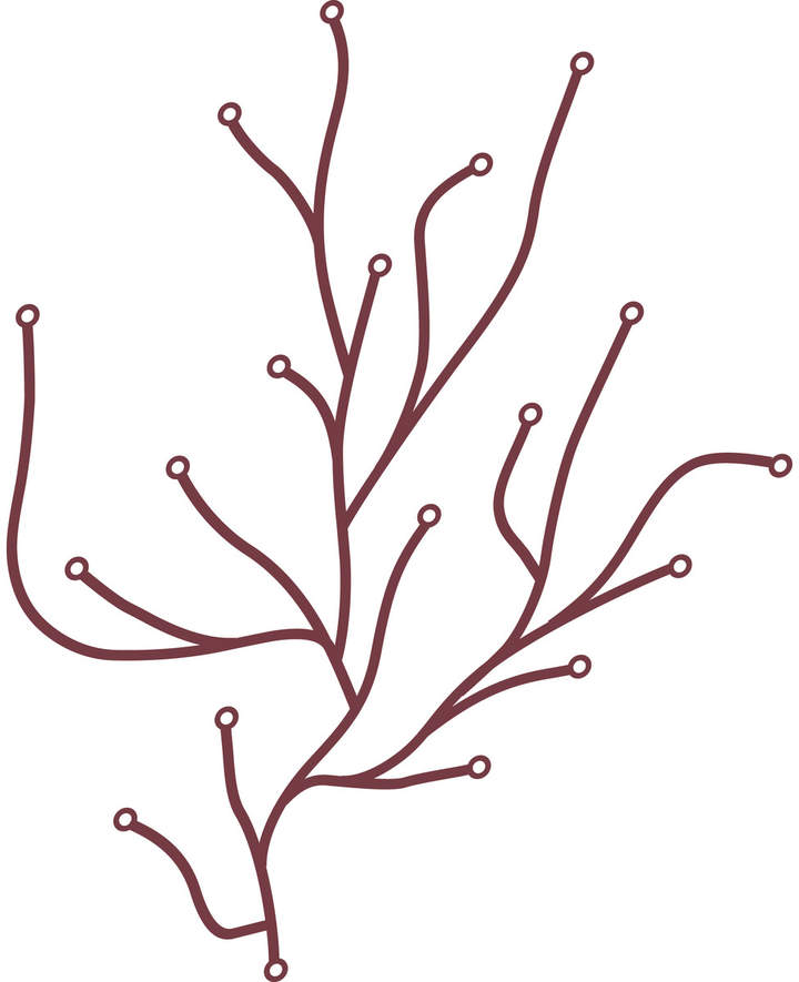 Algue, 25 Stück, Rot