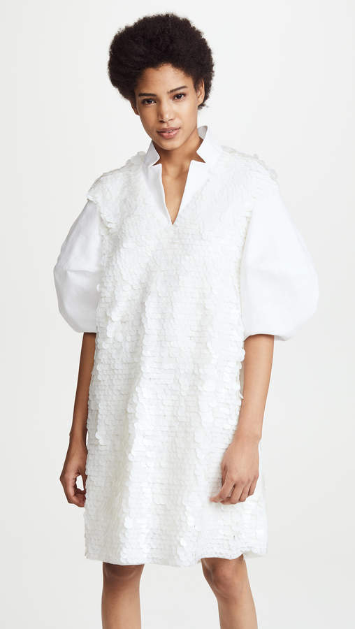 Lantern Sleeve Dress