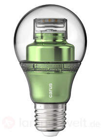 E27 8,6W 827 LED-Lampe lookatme grün