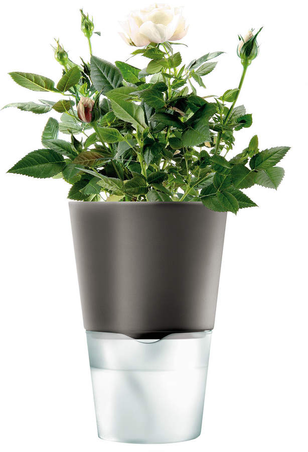 A/S Kräutertopf Ø 11 cm, Dunkelgrau