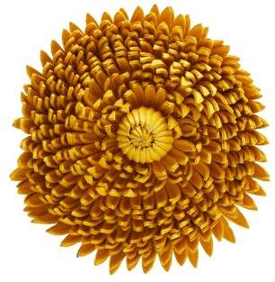 X William Morris Calendula leather brooch