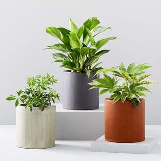 west elm Pure Modernist Pots west elm Pure Modernist Pots