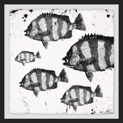 Wayfair 'Barred Fish' Framed Print
