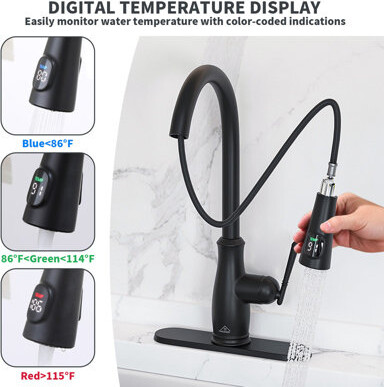 CASAINC Willow Pull Down Sprayer Kitchen Faucet with Digital Display and Deck Plate