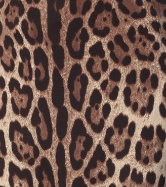Dolce & Gabbana Leopard-print stretch-silk skirt