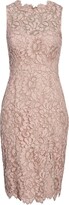 Thumbnail for your product : Eliza J Sleeveless Lace Sheath Dress