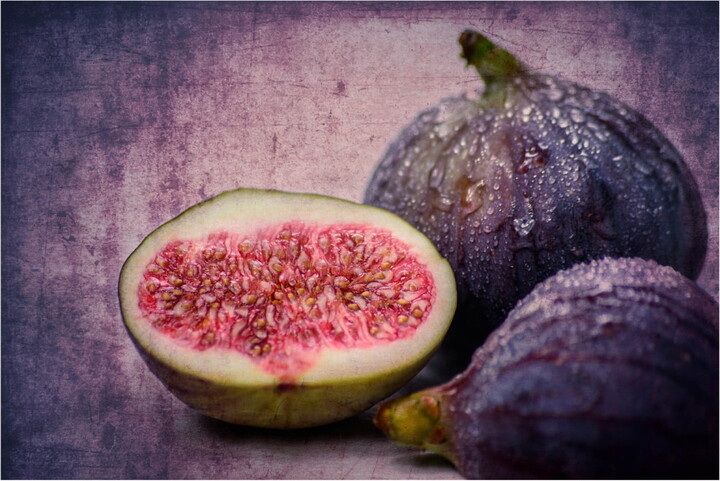Canvas Wall Art - Hannes Cmarits 'Figs' Wall Art for Living Room, Bedroom, or Office D?cor by Trademark Fine Art - 32 x 22 Inches