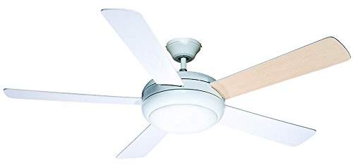 Globo E27 Ceiling Fan With Clear Blades Fans Brushed Nickel