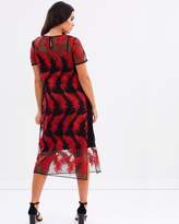 Thumbnail for your product : Overlay Embroidered Dress