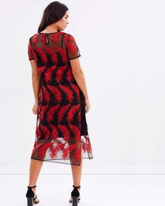 Overlay Embroidered Dress