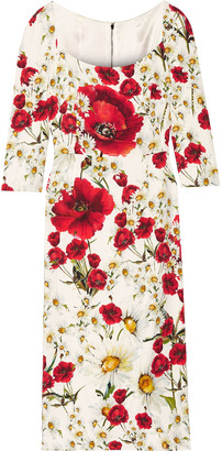 Dolce & Gabbana Floral-print Crepe Dress