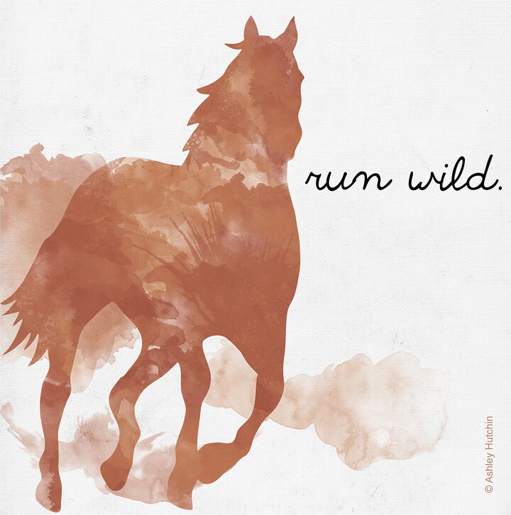 Thirstystone Occasions Drink Coasters, Run Wild