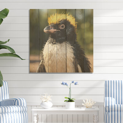 Highland Dunes Penguin Photo Portrait - Penguin On Wood Print