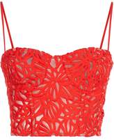 Thumbnail for your product : Milly Karissa Lace Bustier