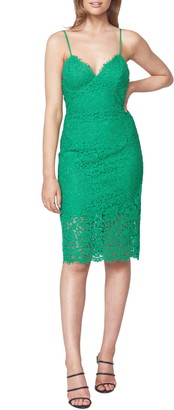 bardot tayla lace cocktail dress