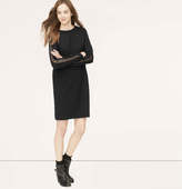 Thumbnail for your product : LOFT Tall Lacy Sleeve Sweatshirt Dress